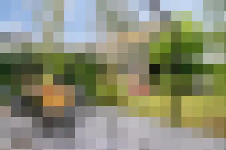 Waterwereld 50 Eindhoven thumbnail 39