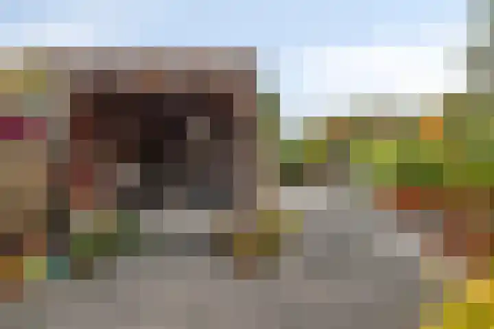 Waterwereld 74 Eindhoven thumbnail 4