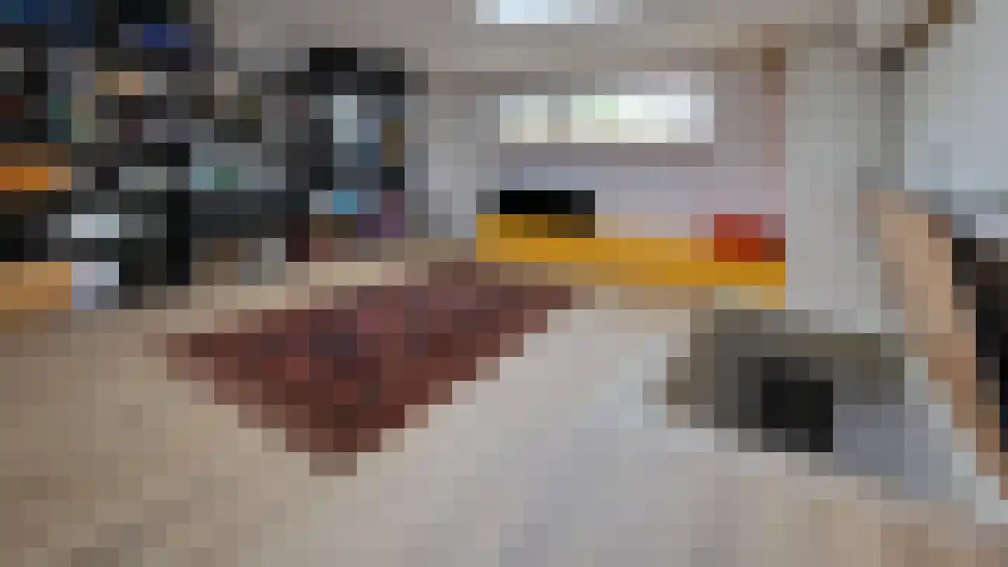 Waterwerk 48 Rotterdam thumbnail 15