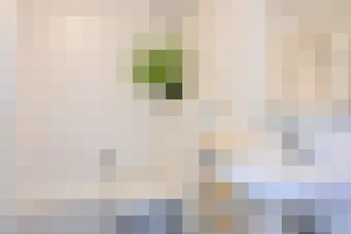 Waterwerk 78 Rotterdam thumbnail 31