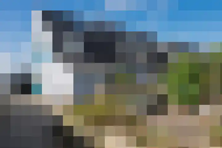 Waterwerk 78 Rotterdam thumbnail 7
