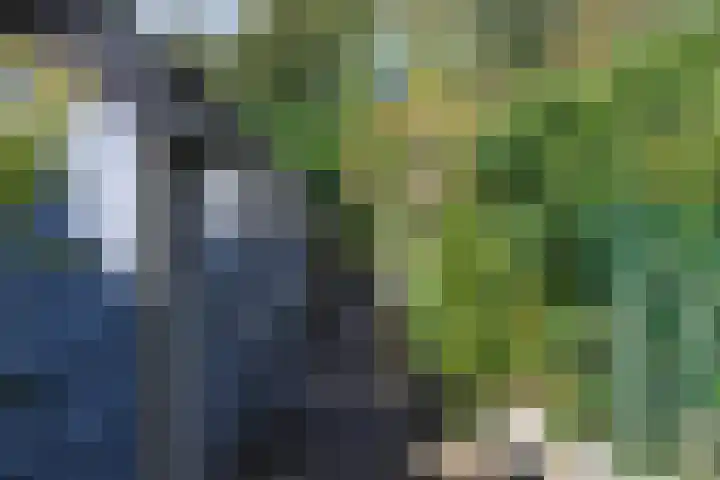 Waterwerk 78 Rotterdam thumbnail 8