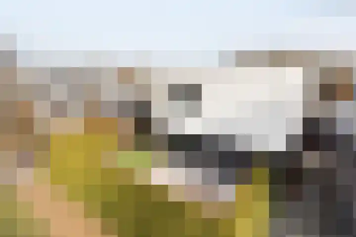 Waterwijk 101 in Eindhoven