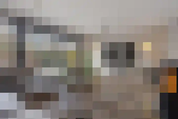 Waterwijk 101 Eindhoven thumbnail 15