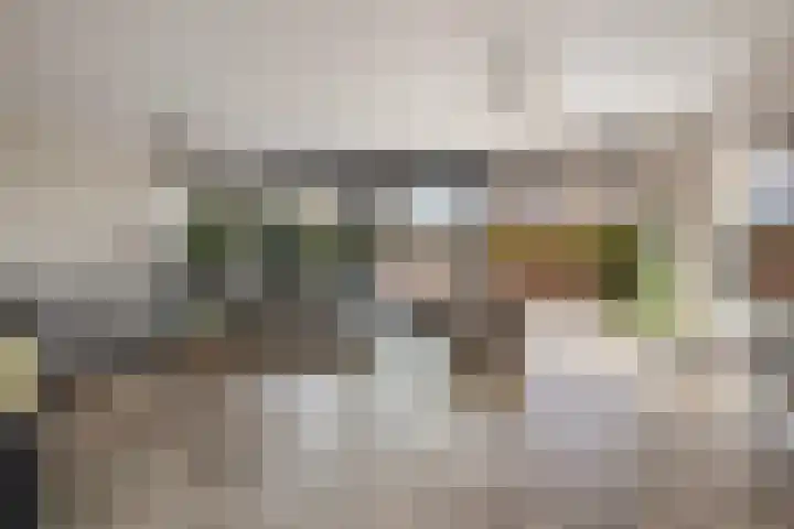 Waterwijk 101 Eindhoven thumbnail 17