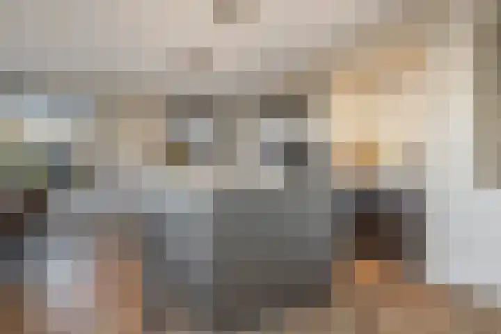 Waterwijk 101 Eindhoven thumbnail 32