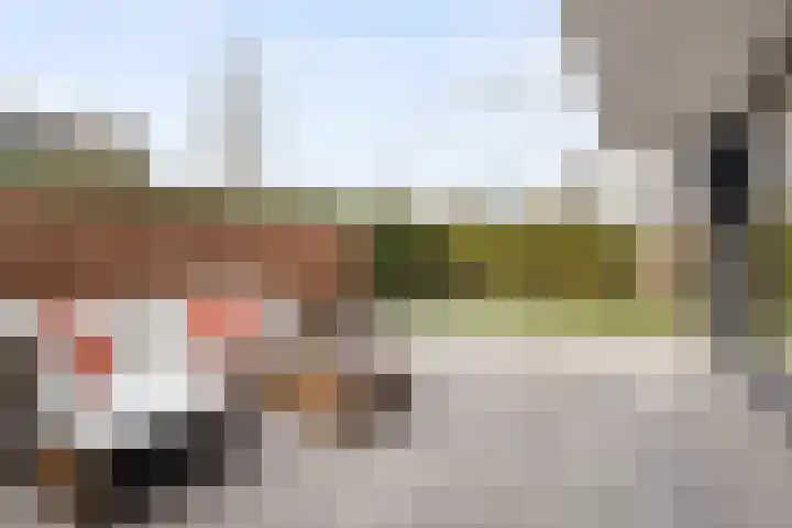 Waterwijk 101 Eindhoven thumbnail 64