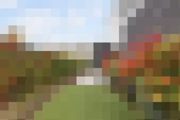 Waterwijk 101 Eindhoven thumbnail 68