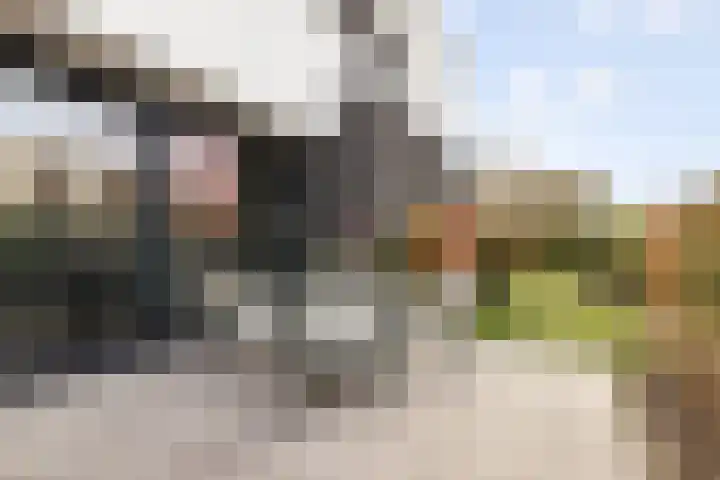 Waterwijk 101 Eindhoven thumbnail 69