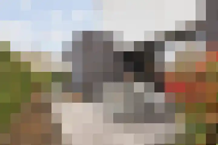 Waterwijk 101 Eindhoven thumbnail 70