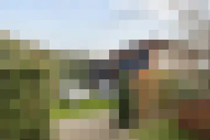 Waterwijk 101 Eindhoven thumbnail 71
