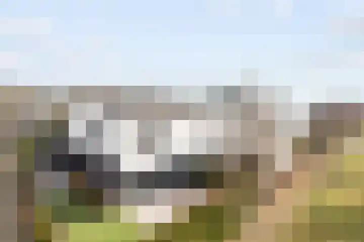 Waterwijk 101 Eindhoven thumbnail 77
