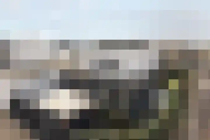 Waterwijk 101 Eindhoven thumbnail 78