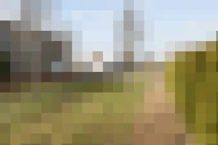 Waterwijk 101 Eindhoven thumbnail 79