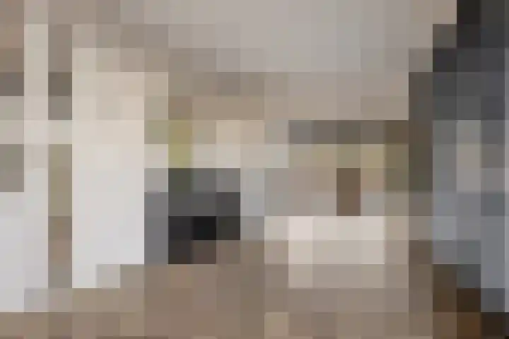 Waterwijk 101 Eindhoven thumbnail 8