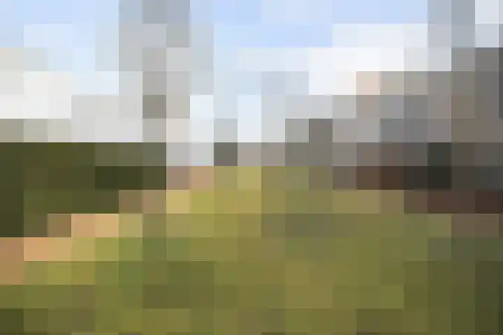 Waterwijk 101 Eindhoven thumbnail 80