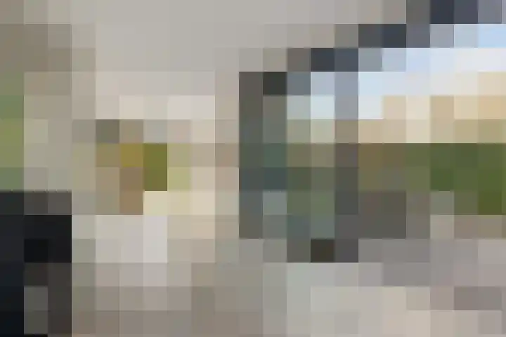 Waterwijk 101 Eindhoven thumbnail 9