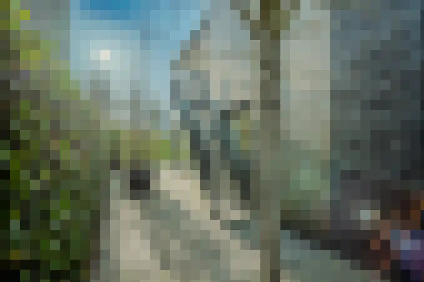Waterwijk 145 Eindhoven thumbnail 29