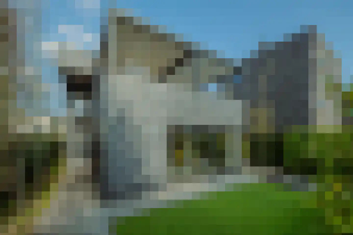 Waterwijk 145 Eindhoven thumbnail 59