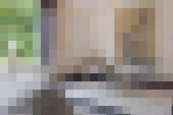 Waterwijk 159 Eindhoven thumbnail 11