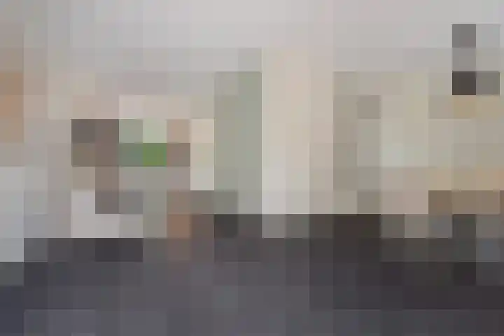 Waterwijk 159 Eindhoven thumbnail 14