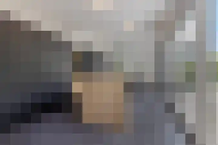 Waterwijk 159 Eindhoven thumbnail 18