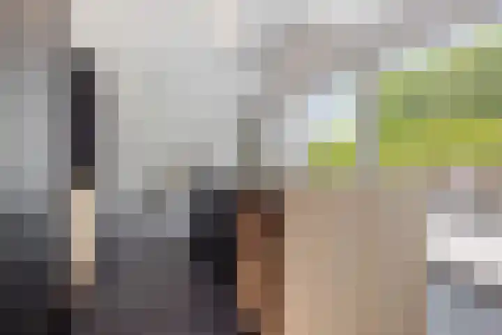 Waterwijk 159 Eindhoven thumbnail 19