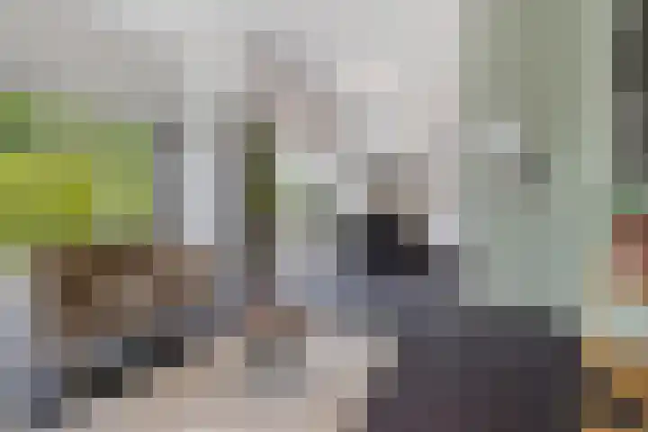 Waterwijk 159 Eindhoven thumbnail 24