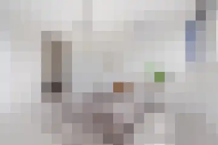Waterwijk 159 Eindhoven thumbnail 30