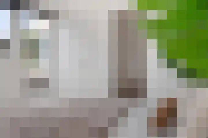 Waterwijk 159 Eindhoven thumbnail 31
