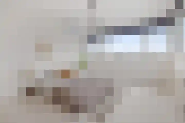 Waterwijk 159 Eindhoven thumbnail 33