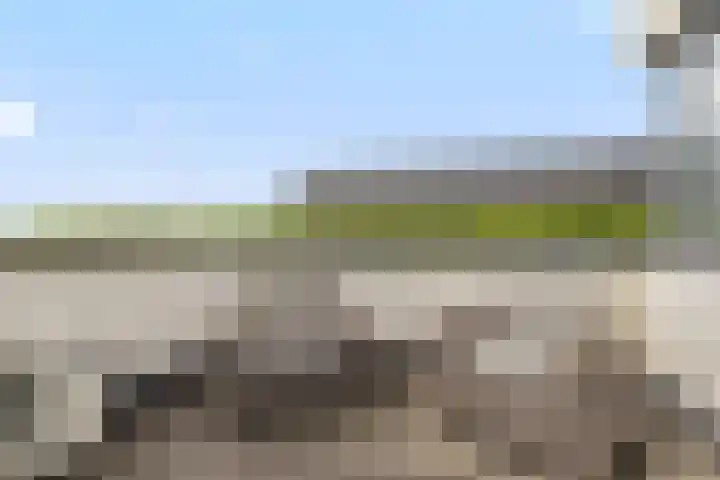 Waterwijk 159 Eindhoven thumbnail 38