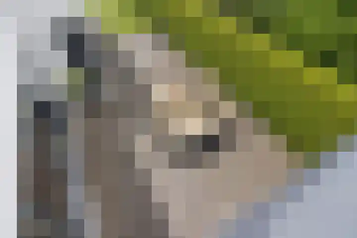 Waterwijk 159 Eindhoven thumbnail 39