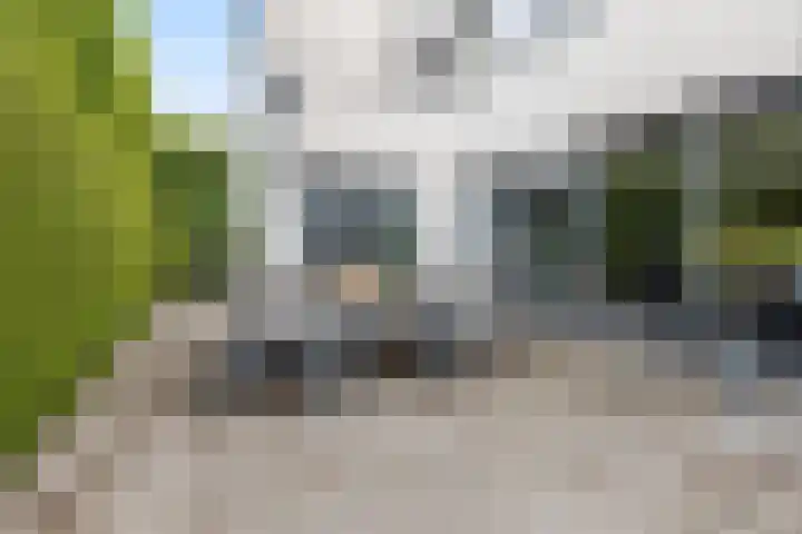 Waterwijk 159 Eindhoven thumbnail 4