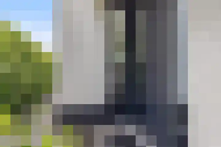 Waterwijk 159 Eindhoven thumbnail 5