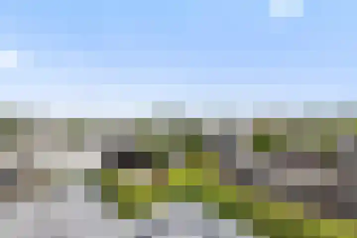 Waterwijk 159 Eindhoven thumbnail 51