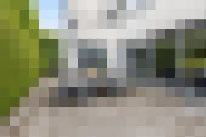 Waterwijk 159 Eindhoven thumbnail 55