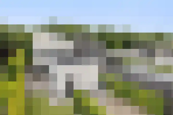 Waterwijk 159 Eindhoven thumbnail 60