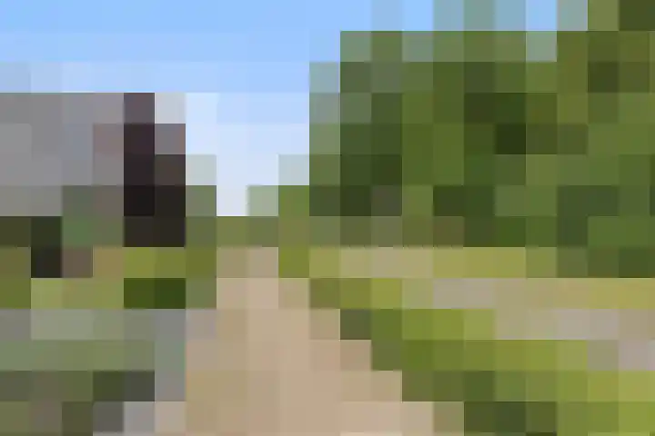 Waterwijk 159 Eindhoven thumbnail 63