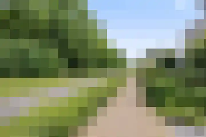 Waterwijk 159 Eindhoven thumbnail 64