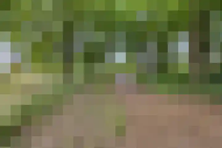 Waterwijk 159 Eindhoven thumbnail 66