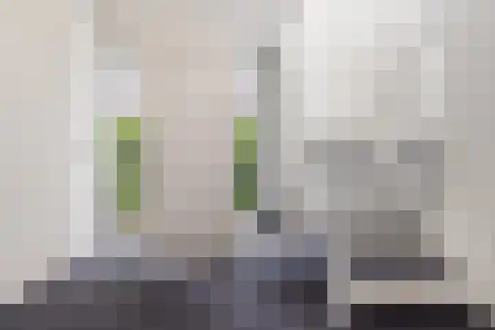 Waterwijk 159 Eindhoven thumbnail 7