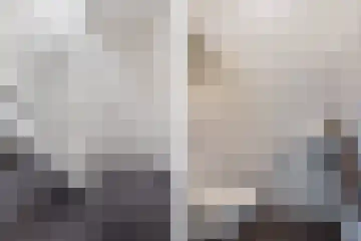 Waterwijk 159 Eindhoven thumbnail 8