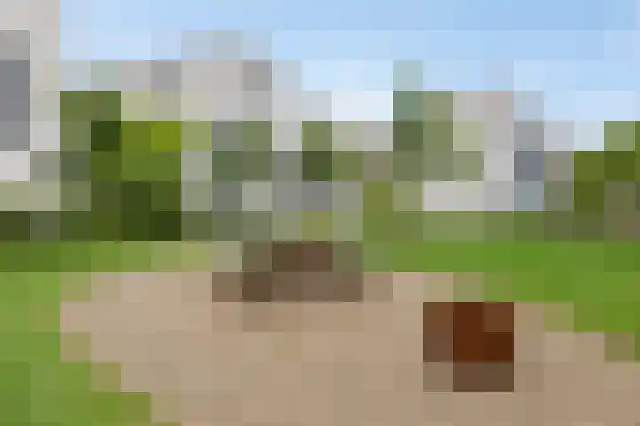 Waterwijk 33 A Eindhoven thumbnail 36