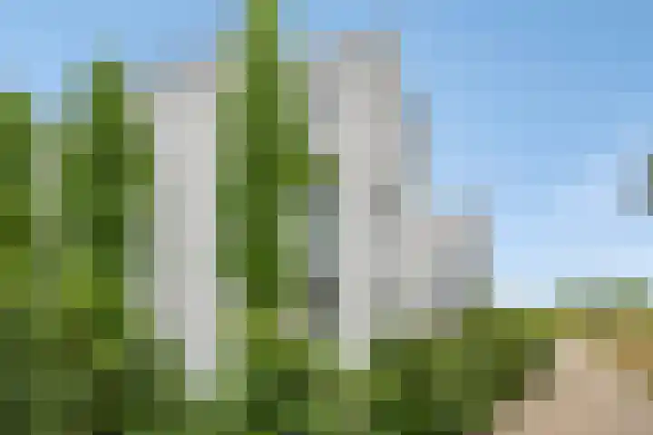 Waterwijk 33 A Eindhoven thumbnail 5
