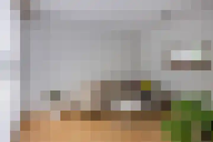 Waterwijk 33 A Eindhoven thumbnail 9