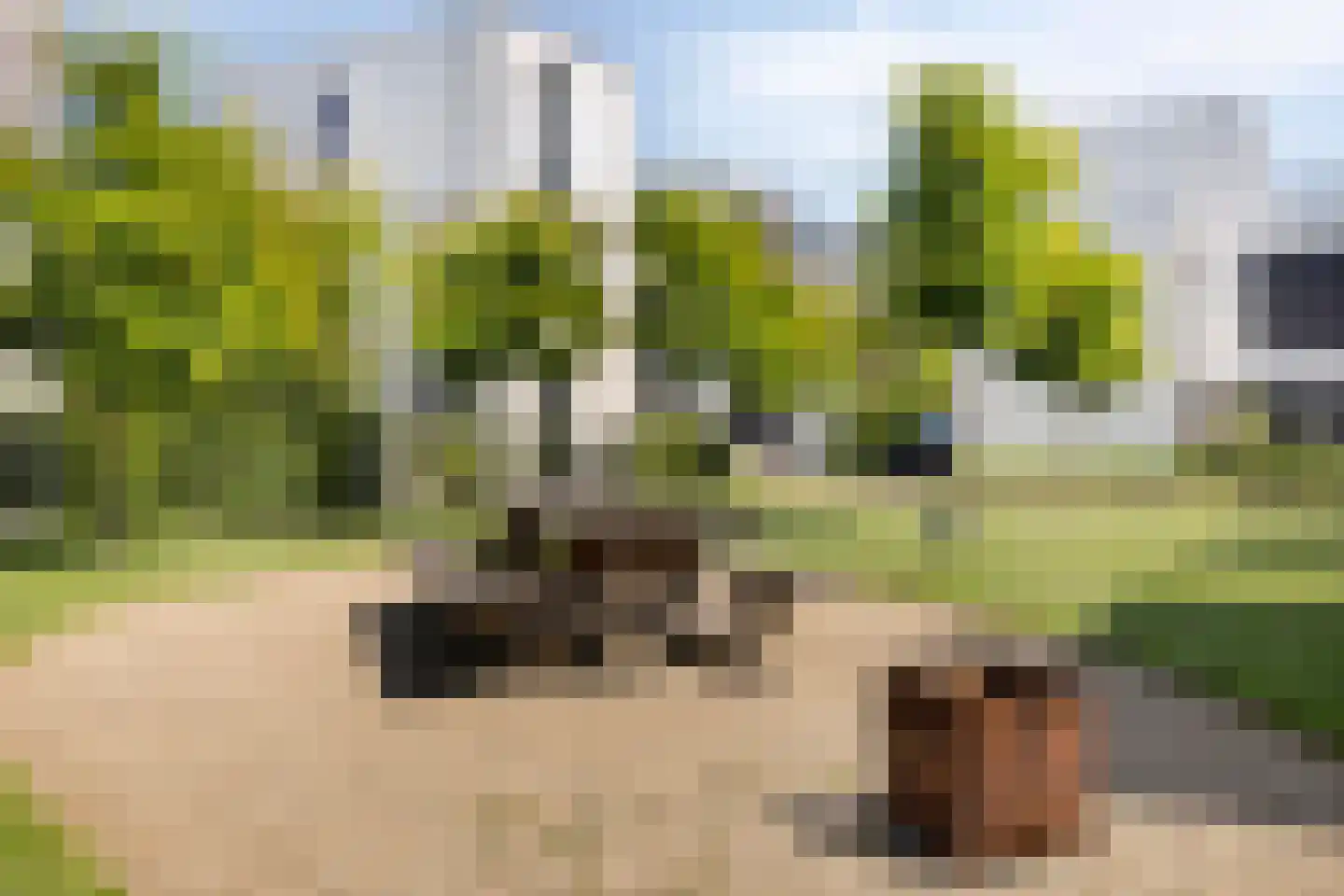 Waterwijk 35 A Eindhoven thumbnail 48