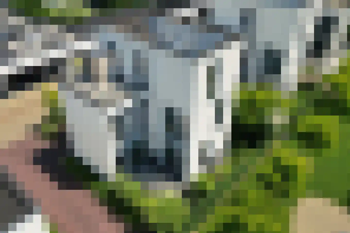 Waterwijk 35 A Eindhoven thumbnail 49