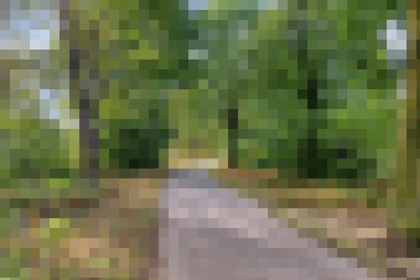Waterwijk 35 Eindhoven thumbnail 32