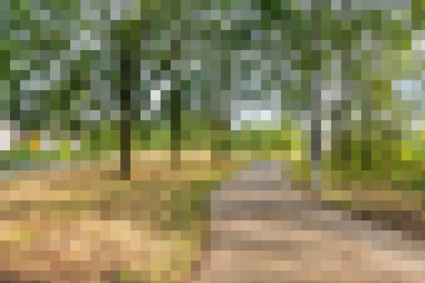 Waterwijk 35 Eindhoven thumbnail 33